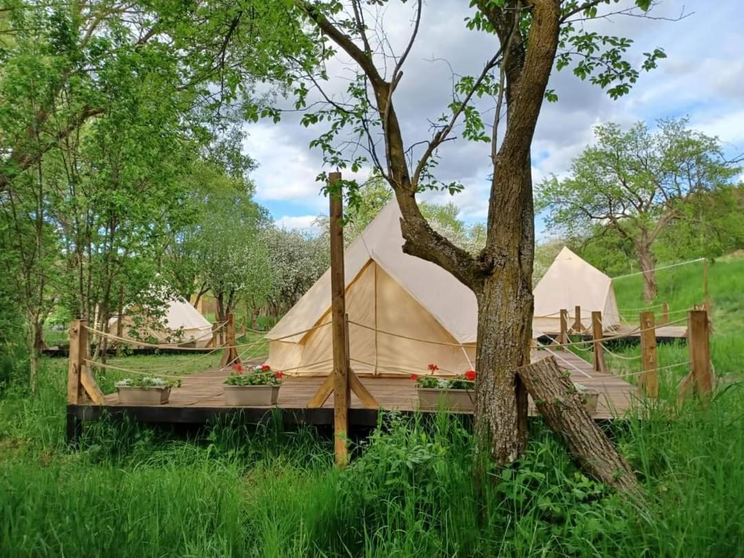 Dalnic My Lake Glamping المظهر الخارجي الصورة