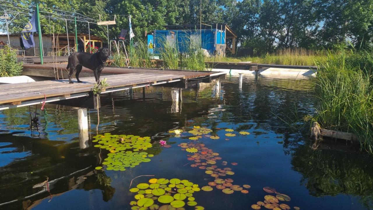 Dalnic My Lake Glamping المظهر الخارجي الصورة