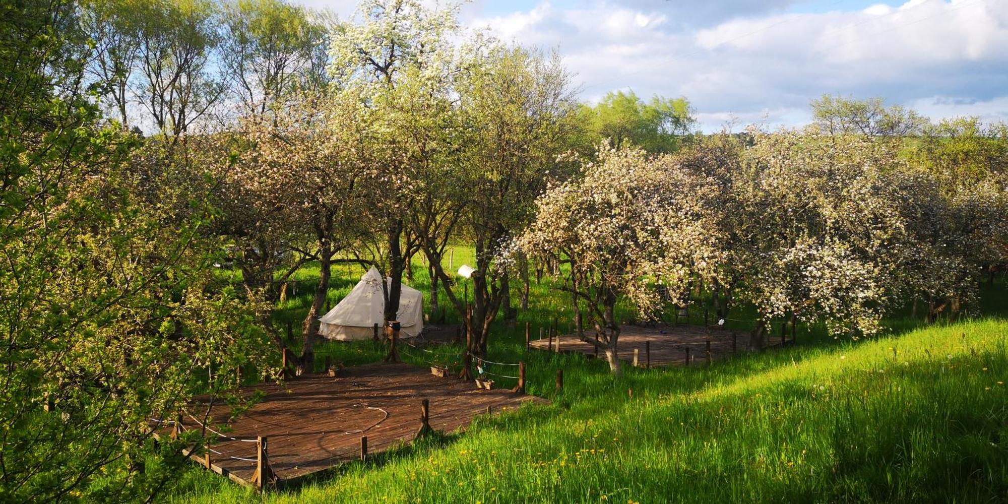 Dalnic My Lake Glamping المظهر الخارجي الصورة